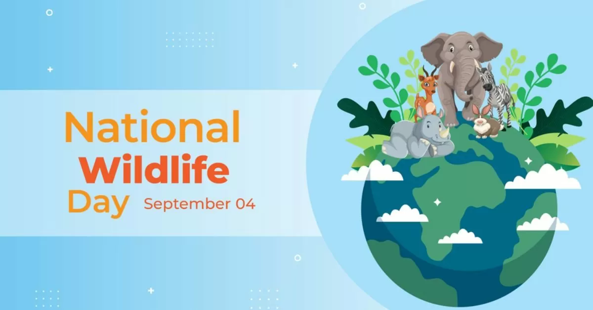 National Wildlife Day 2024 Who is Colleen Paige? The Founder of