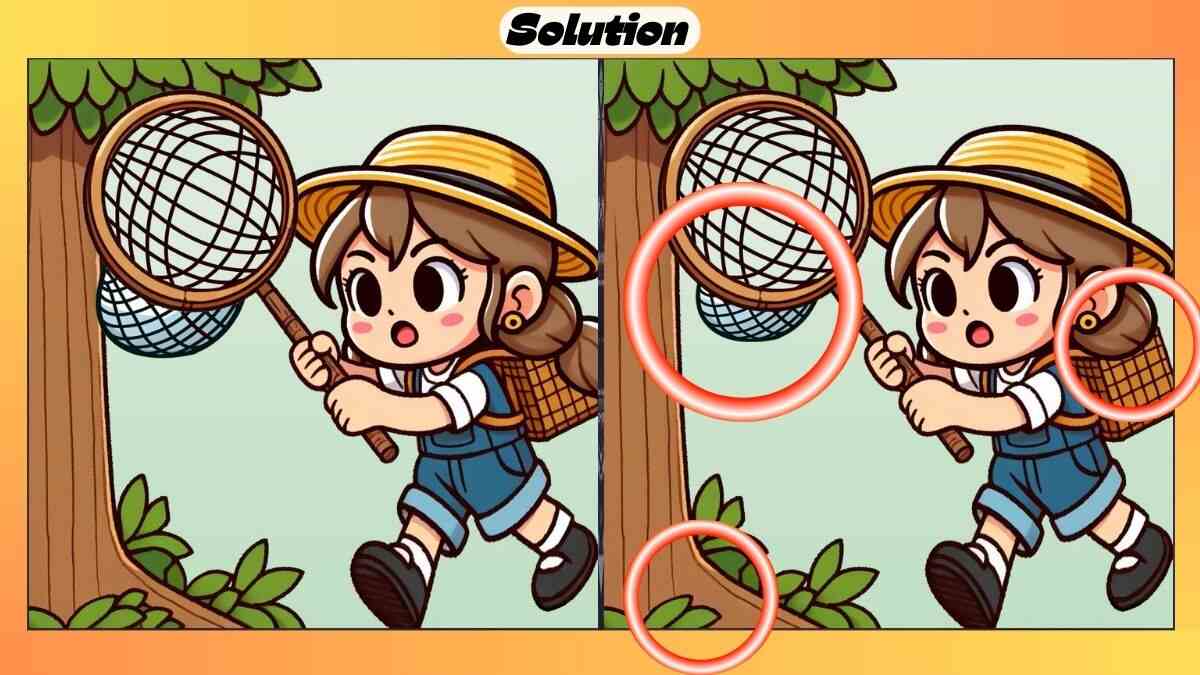 Find 3 Differences in 24 Seconds in This Bug Catching Picture