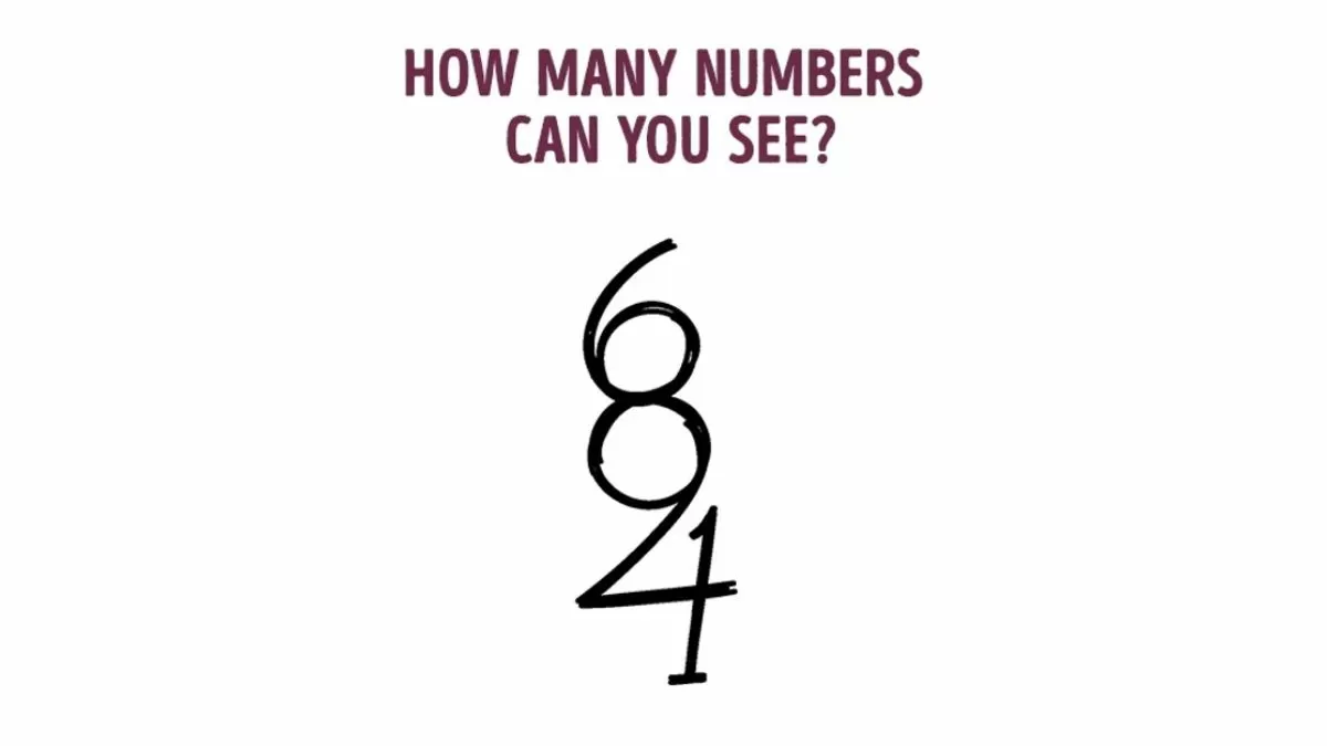 How many numbers do you see?