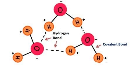 molecular structure of water