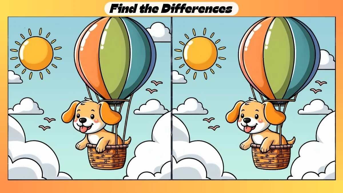 Spot 3 Differences Between Puppy Pictures in 25 Seconds
