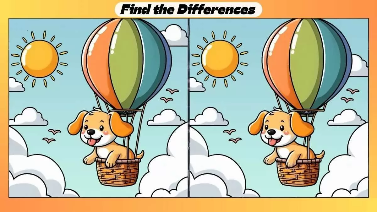 Find 3 Differences in 25 Seconds in This Puppy Picture