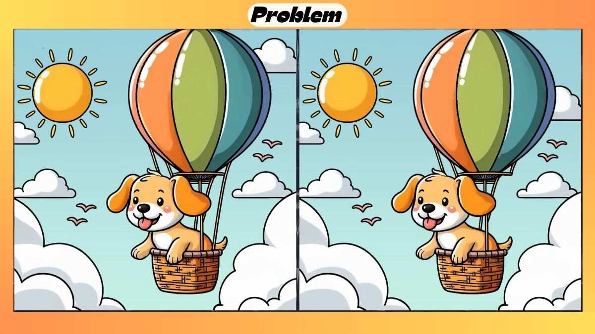 Find 3 Differences in 25 Seconds in This Puppy Picture