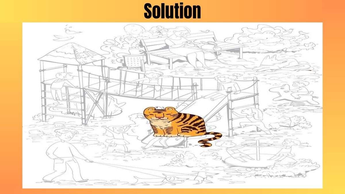 Optical Illusion Challenge: Spot the Tiger In 11 Seconds In this Picture Puzzle