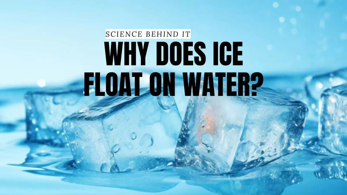 Science Behind It: Why Does Ice Float On Water?