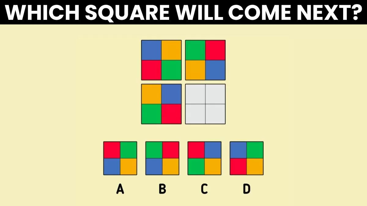 Which square comes next?