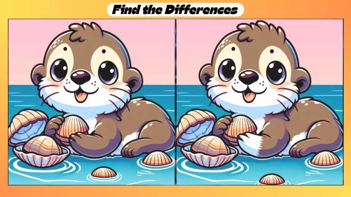Find 3 Differences in 27 Seconds in This Otter Picture