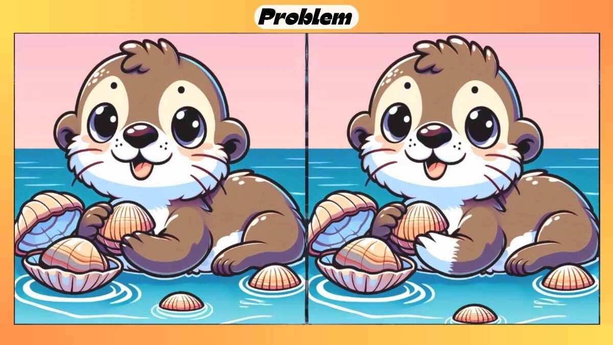 Find 3 Differences in 27 Seconds in This Otter Picture