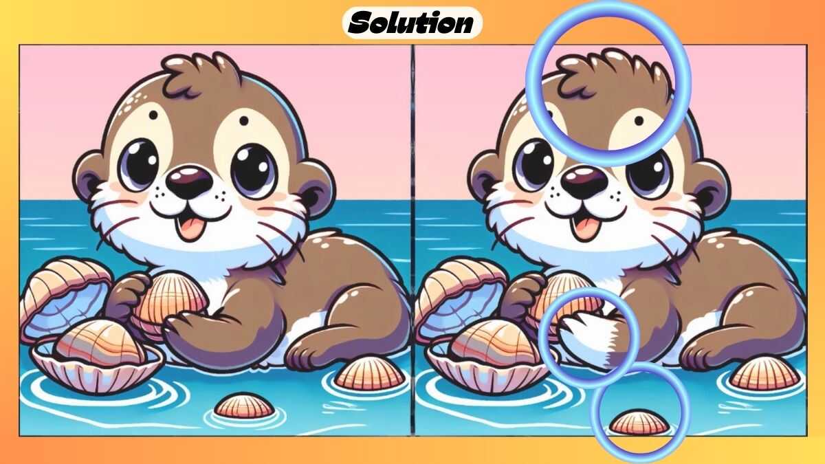 Find 3 Differences in 27 Seconds in This Otter Picture