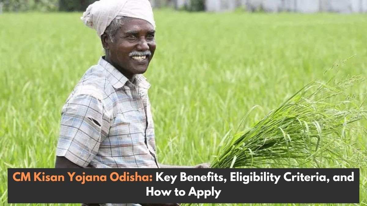 CM Kisan Yojana Odisha: Key Benefits, Eligibility Criteria, and How to Apply