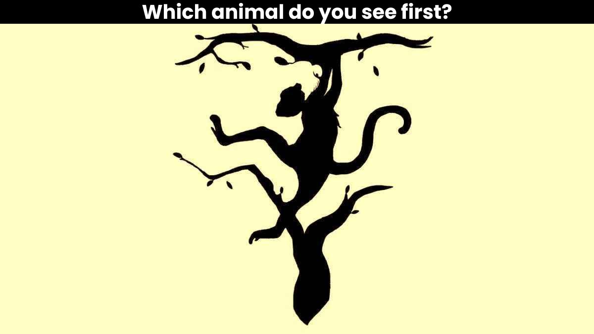 Optical Illusions What Do You See First 5 Optical Illusions To Test