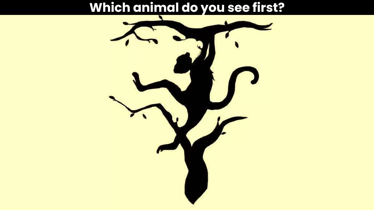 Which animal do you see first?