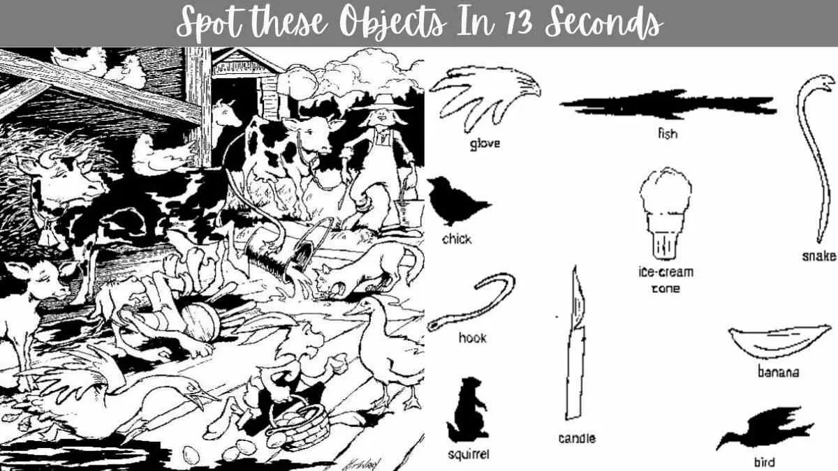 Optical Illusion Challenge: Spot the Objects In 73 Seconds In this Picture Puzzle