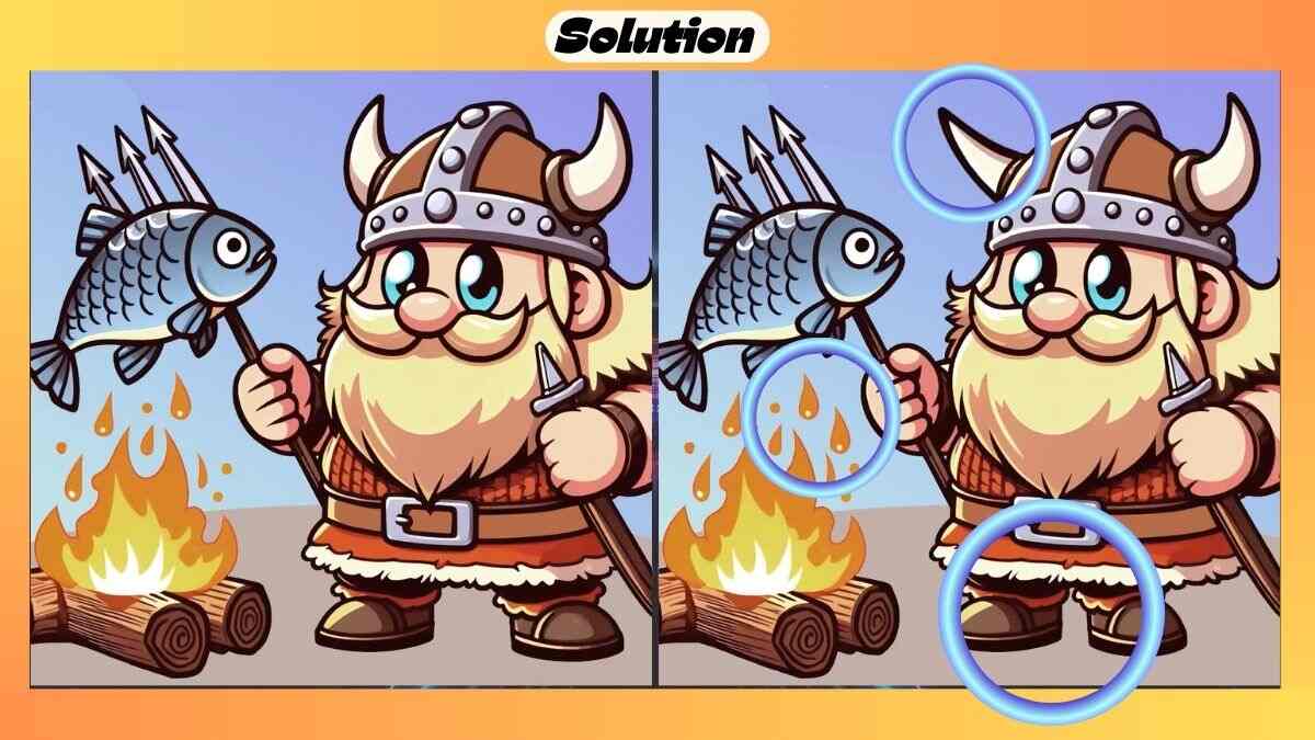 Find 3 Differences in 28 Seconds in This Vikings Picture