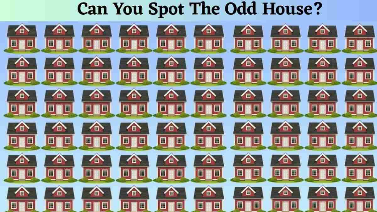 Can You Spot the Odd House Using Your 140+ IQ Level?