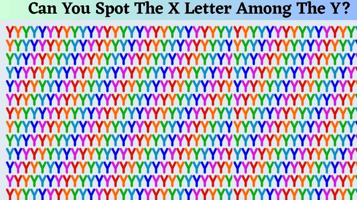 Can You Spot The X Letter Among The Y?