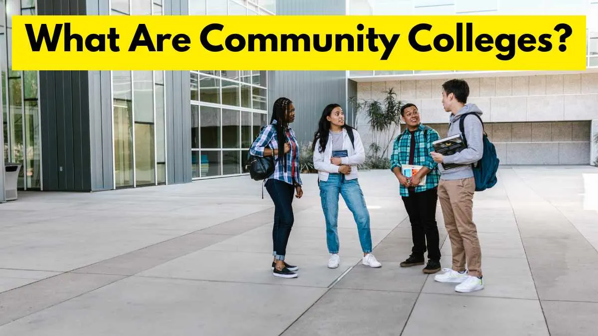 What are community colleges?