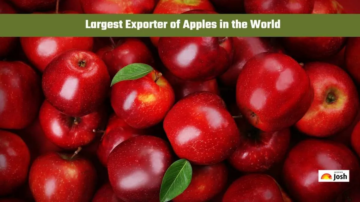 Largest producer of apple.
