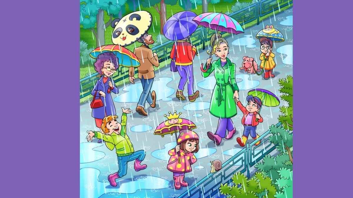 Can You Find The Frog In This Rainy Day Riddle In Just 17 Seconds!