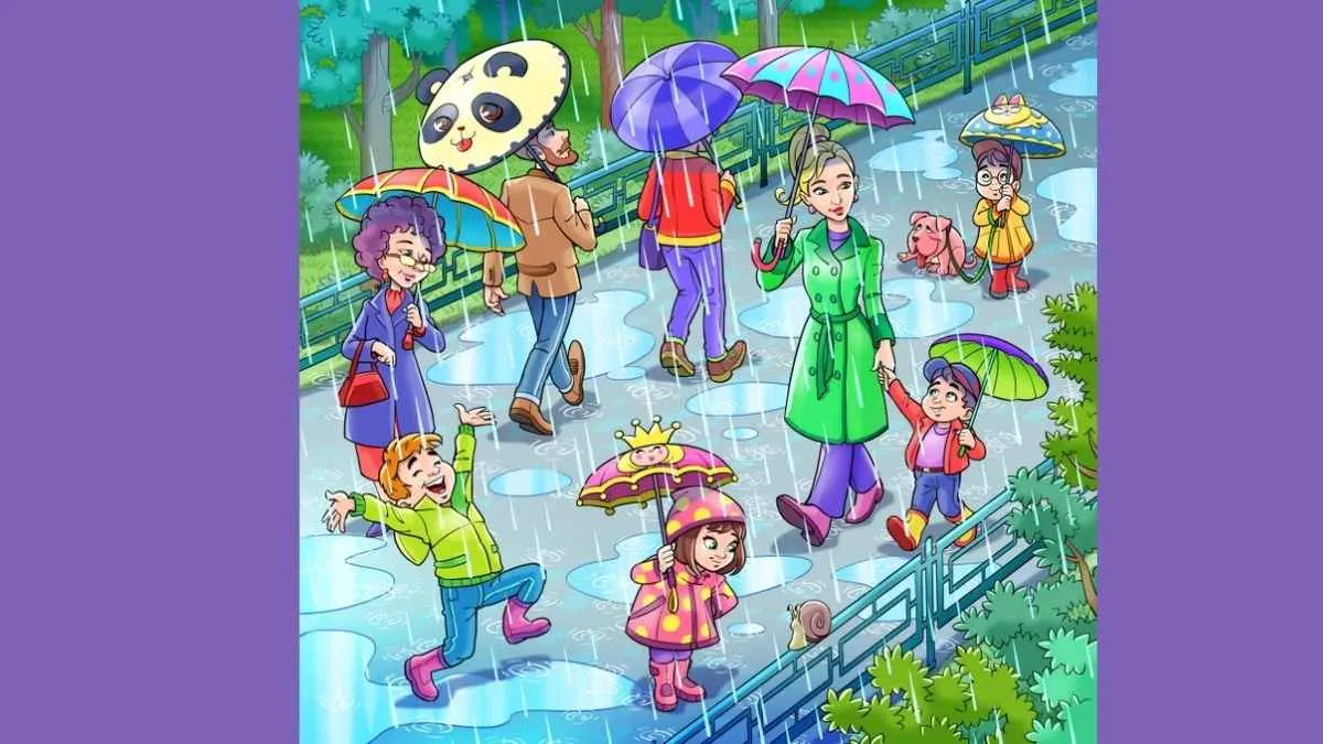 Can You Find The Frog In This Rainy Day Riddle In Just 17 Seconds!