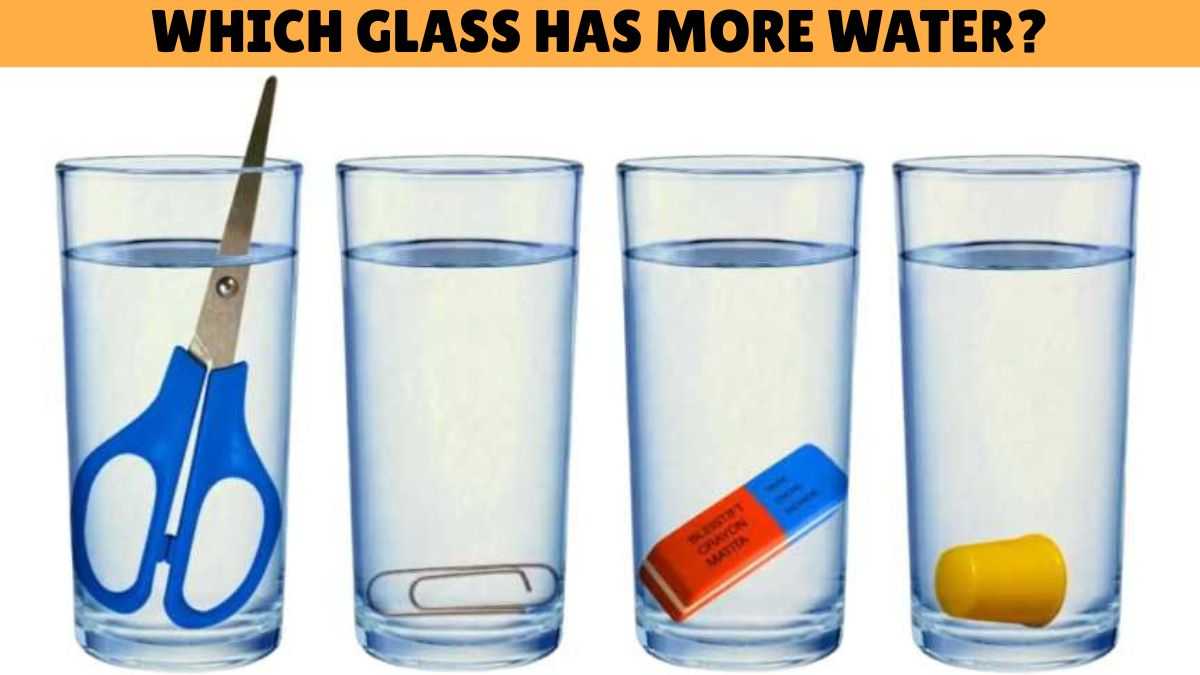 Only Those With 150+ IQ Can Guess Which Glass Contains More Water in 5 Seconds!
