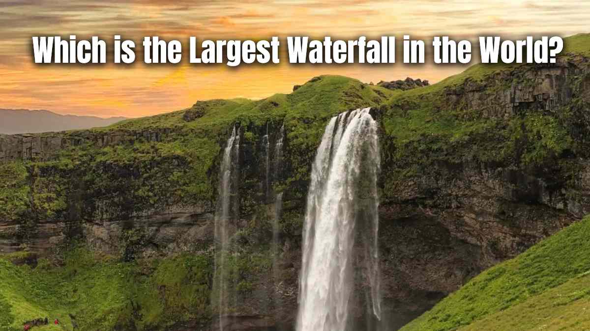 Which is the Largest Waterfall in India?
