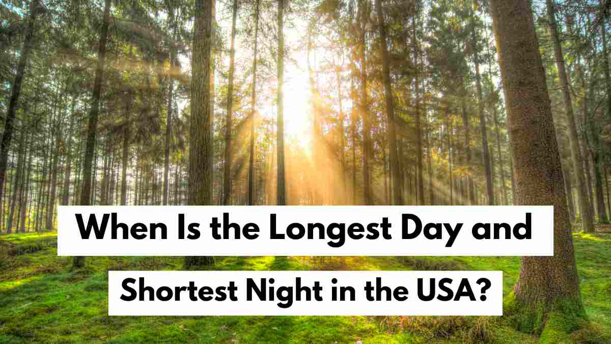 When is the Longest Day and Shortest Night in the USA? Know Everything About Summer Solstice 2025