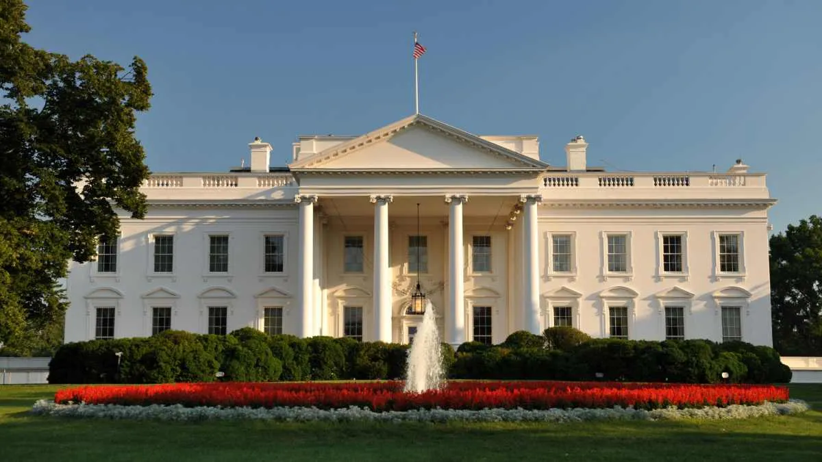 White House 