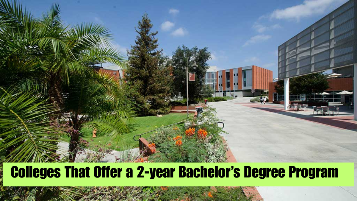 Which Colleges Offer a 2-year Bachelor’s Degree Program in the U.S?