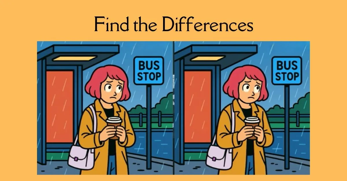 Find 3 Hidden Differences 