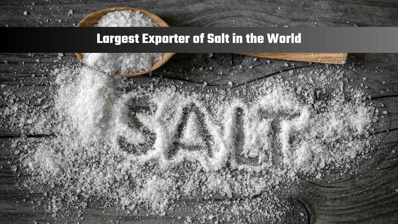 Which Country is the Largest Exporter of Salt in the World?