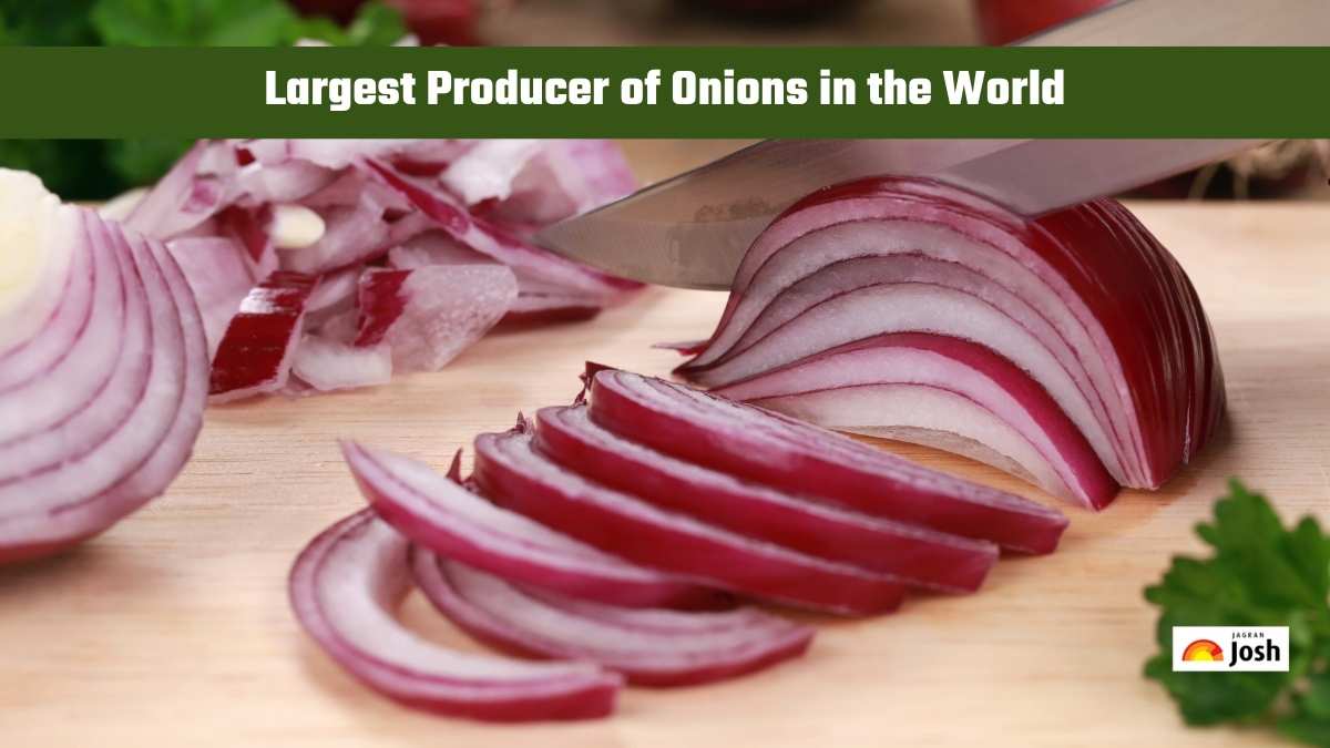 Which Country is the Largest Producer of Onions in the World?