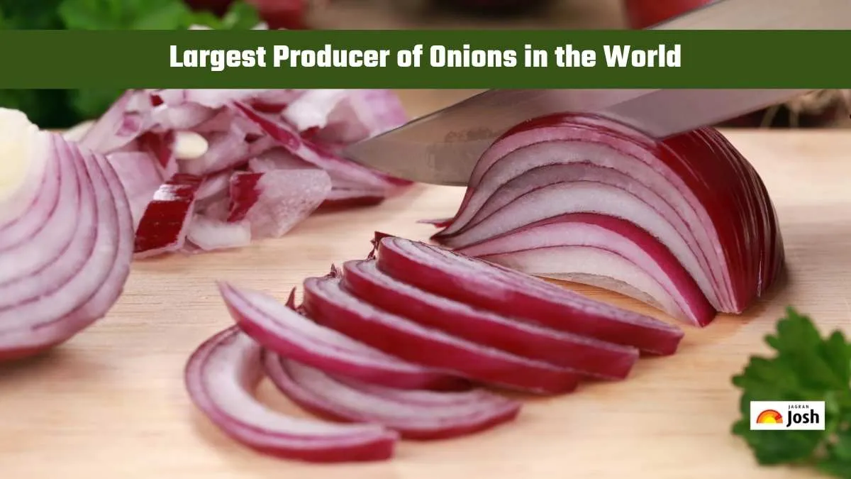 Largest producer of onions
