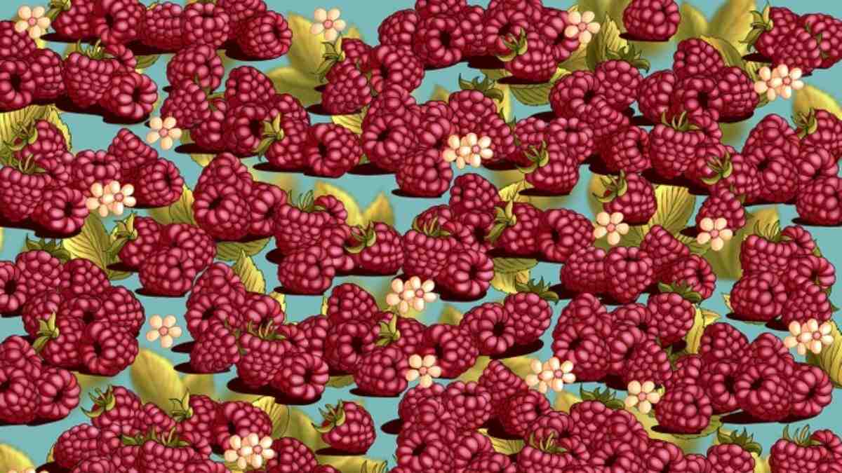 Only 1 Out Of 100 People With Sharpest Eyes Can Spot The Strawberry Among Raspberries In 5 Seconds!