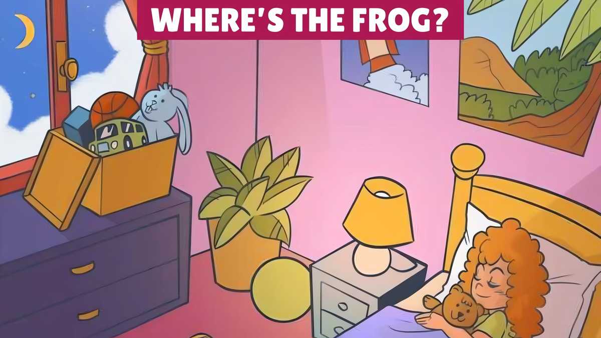 You Have Hunter’s Eyes if You Can Find the Frog in the Bedroom in 9 Seconds!