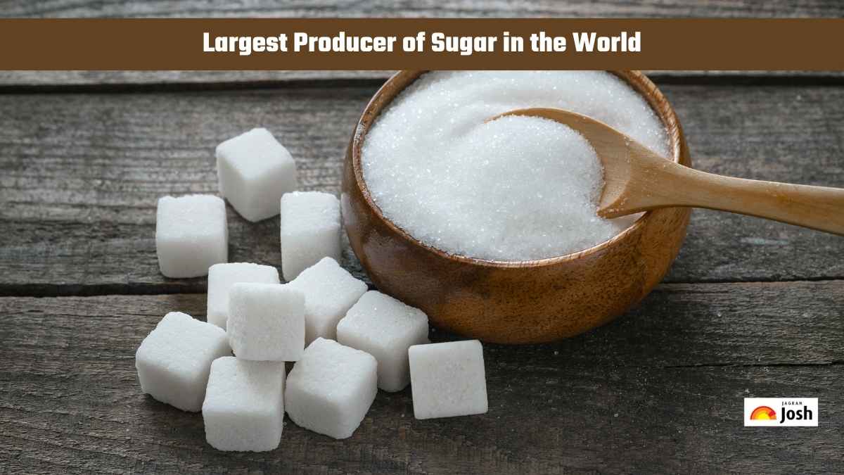 Which Country is the Largest Producer of Sugar in the World?