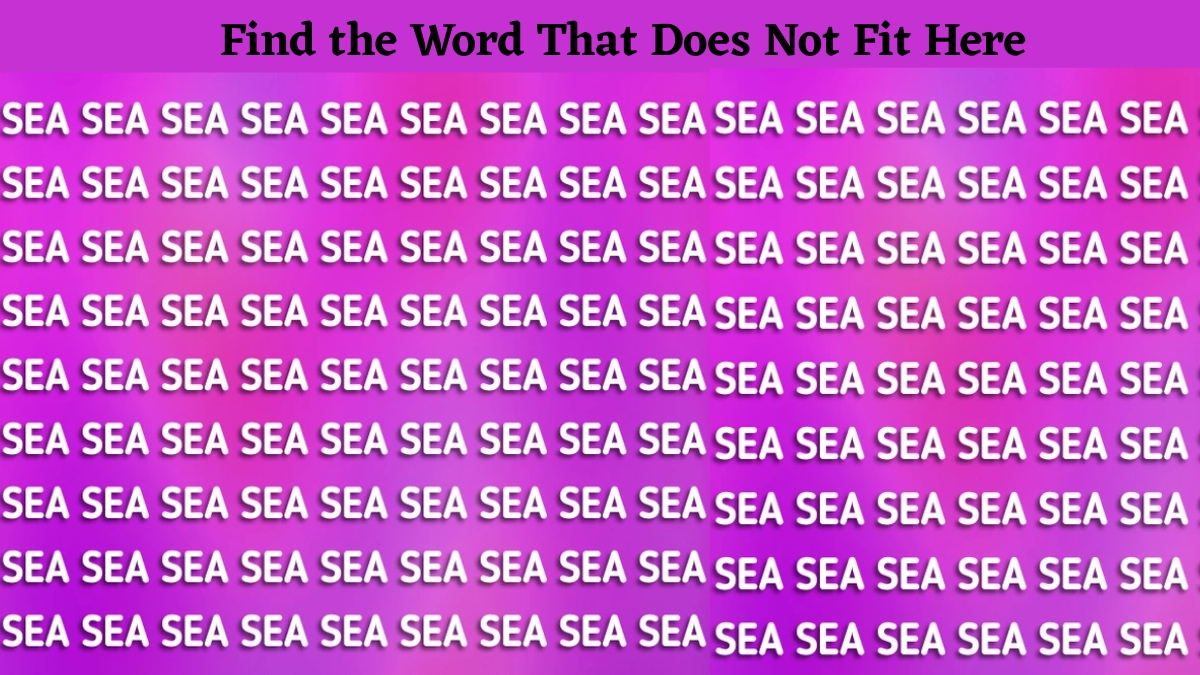 If You Possess A 140+ IQ Level, Then Find the Word That Does Not Fit In the Sea Word Puzzle