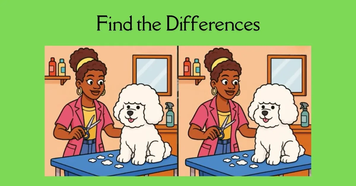 Find the 3 Hidden Differences in 37 Seconds