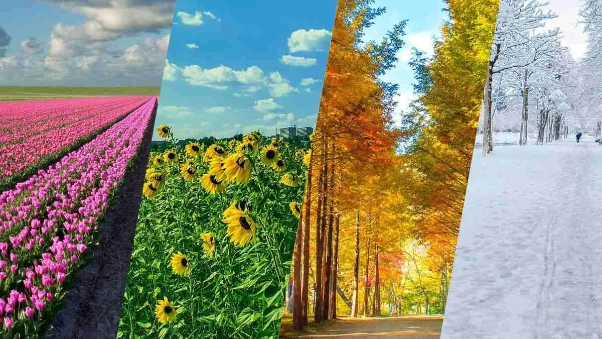 The four seasons of the year in United States are spring, summer, autumn, and winter
