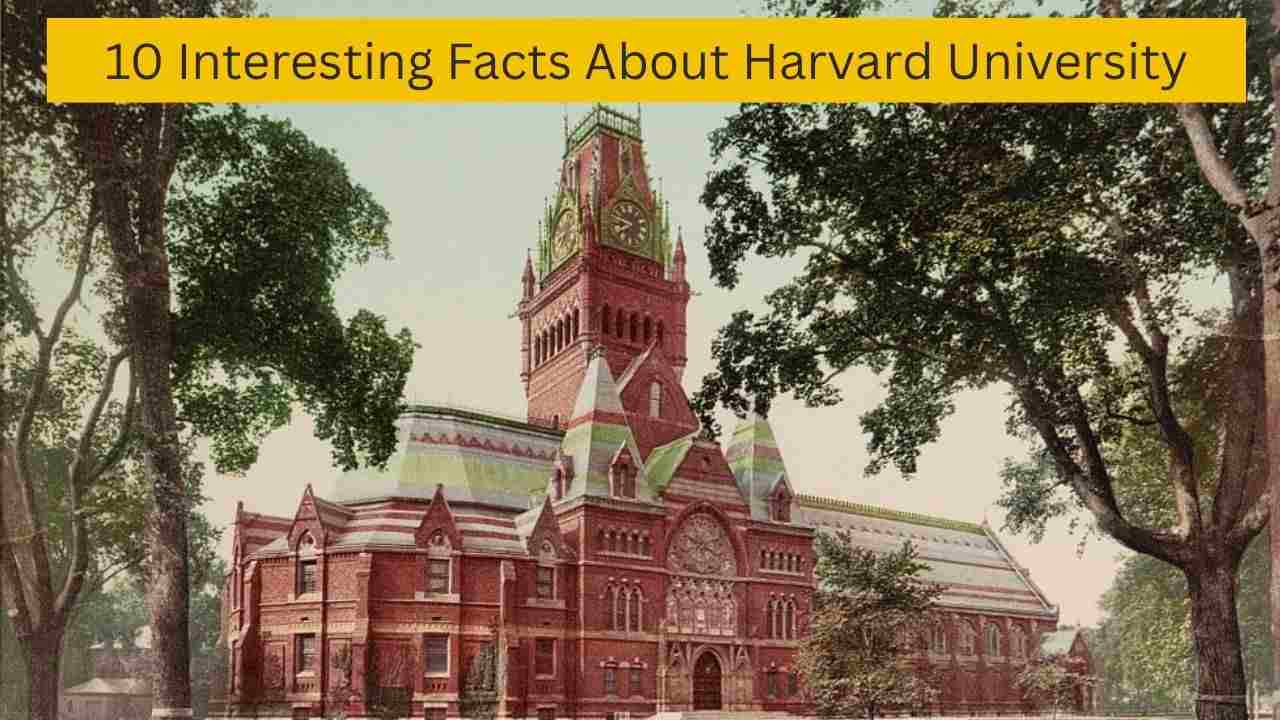 10 Interesting Facts About Harvard University