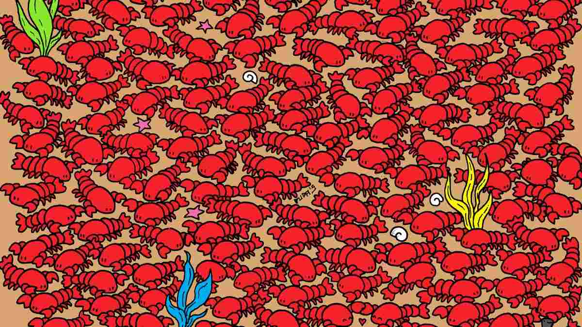 Is Your Visual IQ Off The Charts? Spot 4 Crabs Hidden Among Lobsters In 5 Seconds!