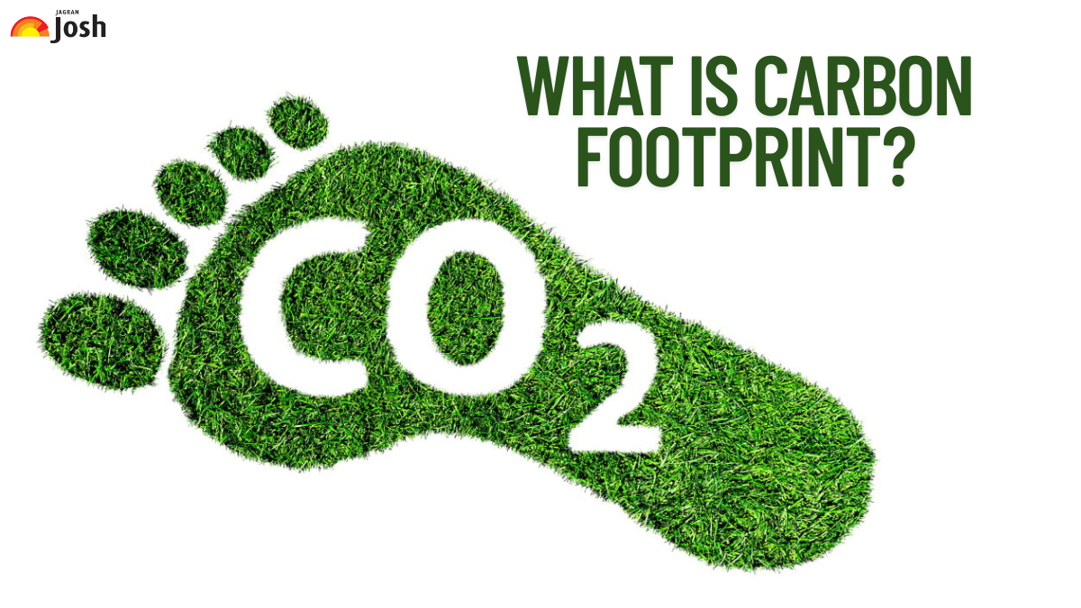 What is Carbon Footprint? Check Types of Emissions, Components, and Calculation