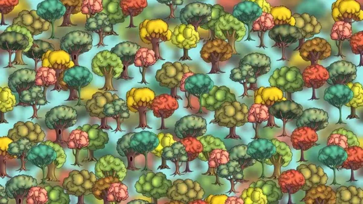 Can you find the broccoli?