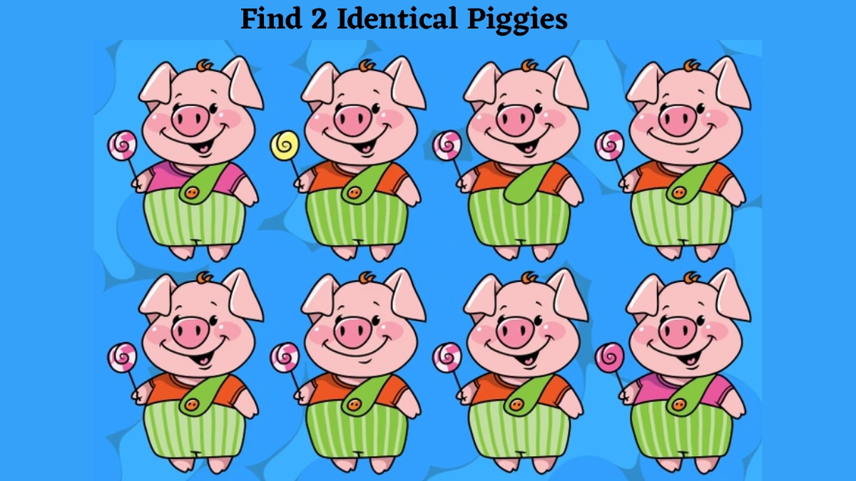If You Possess A 140+ IQ Level, Then Find The 2 Identical Piggies