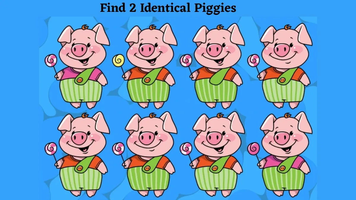 If You Possess A 140+ IQ Level, Then Find The 2 Identical Piggies