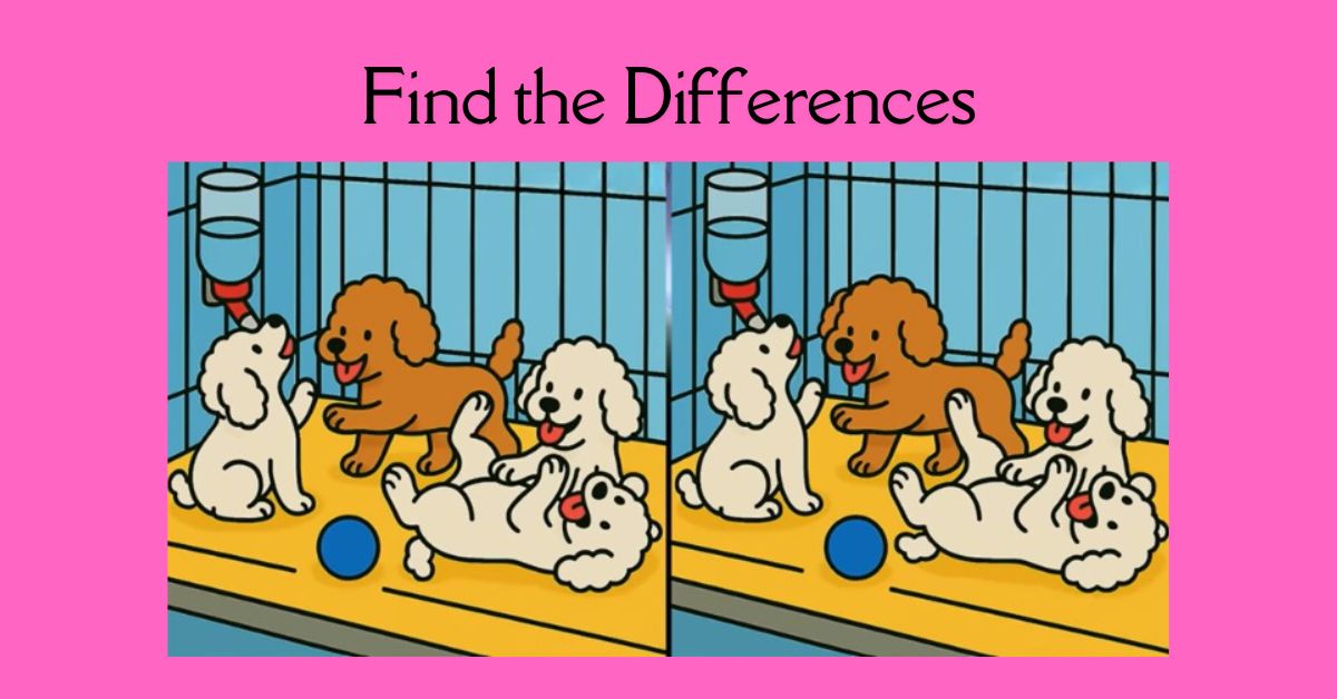Spot the 3 Differences in Dogs Playing in their Cage Beat the 19-Second Challenge!