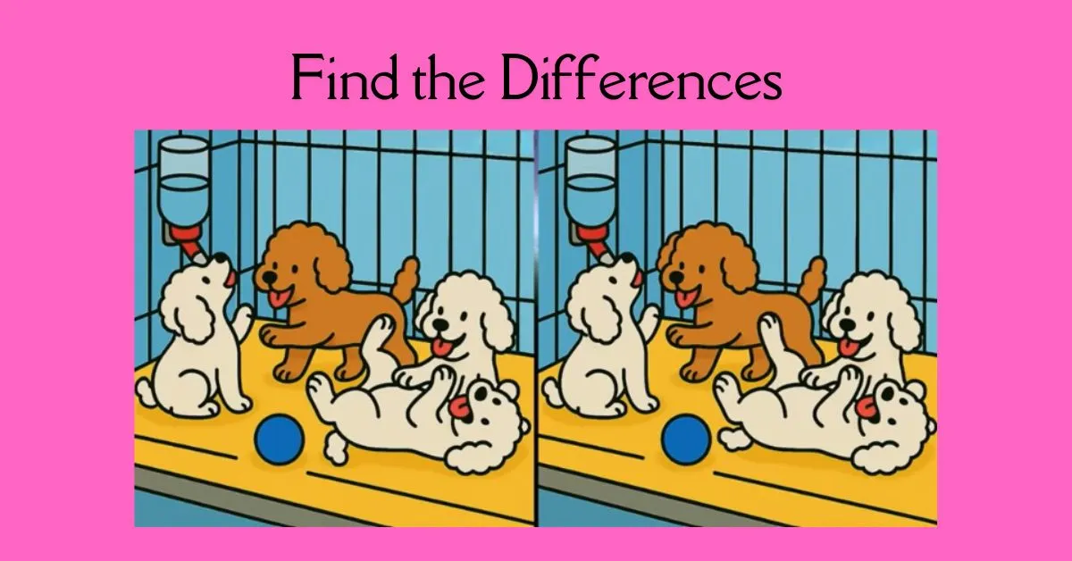 Find the Three Hidden Differences