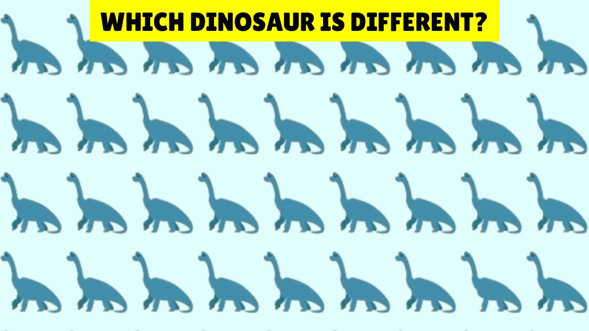 You've 20/20 Vision if You Can Find the Unique Dinosaur in 4 Seconds!