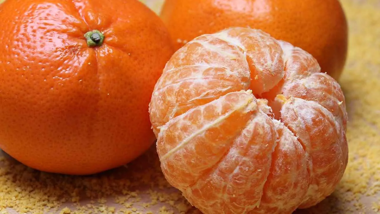 largest orange producing country in the world in hindi