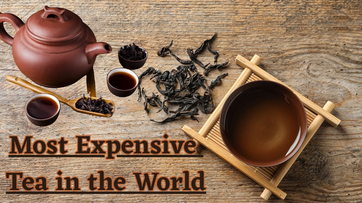 List of the Top Most Expensive Tea in the World